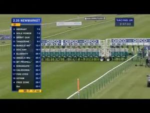 Video preview image for Newmarket 14:35 - Pearl Bloodstock Palace House Stakes (Group 3)