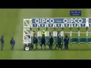 Video preview image for Newmarket 15:10 - Qatar Bloodstock Jockey Club Stakes (Group 2)