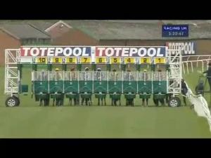 Video preview image for Thirsk 15:20 - Live Totescoop6 Information At totepool.com Maiden Stakes