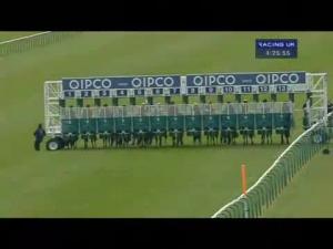 Video preview image for Newmarket 16:25 - Harbour Watch Timeform 'European Champion Two-year-old' Handicap