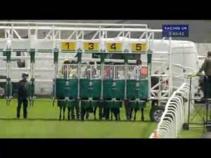 Video preview image for Hamilton Park 14:45 - Cancer Research UK Claiming Stakes