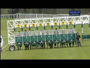 Video preview image for Salisbury 14:55 - Betfred 'The Bonus King' Fillies' Conditions Stakes