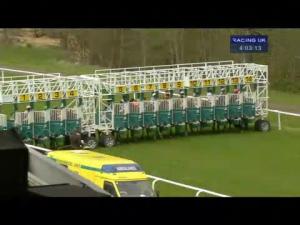 Video preview image for Hamilton Park 16:00 - totepool.com Buttonhook Handicap