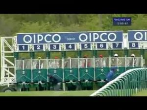 Video preview image for Newmarket 17:00 - Tweenhills Pretty Polly Stakes (Fillies' Listed)