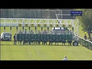 Video preview image for Warwick 15:05 - Quantum Manufacturing Handicap