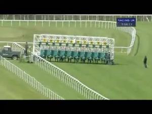 Video preview image for Goodwood 13:55 - Goodwood Business Club Maiden Stakes