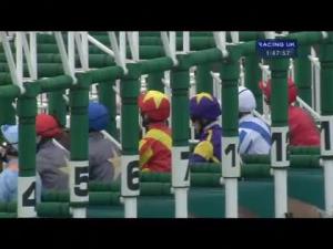 Video preview image for Chester 13:45 - sportingbet.com Earl Grosvenor Handicap