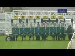 Video preview image for Hamilton Park 18:40 - Thomson Open Maiden Stakes