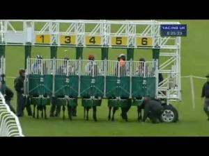 Video preview image for Hamilton Park 20:25 - Thomson Claiming Stakes