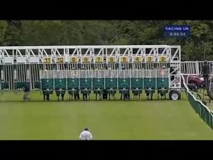 Video preview image for Warwick 18:05 - Kingstone Press Championships Handicap (Lady Amateur Riders)