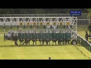 Video preview image for Warwick 18:35 - Psa Peugeot Citroen Maiden Auction Stakes