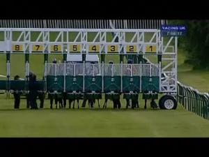 Video preview image for Warwick 19:05 - E.B.F. Cut The Mustard With Mustard Presentations Maiden Stakes