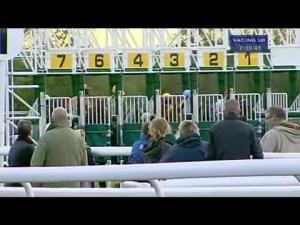Video preview image for Warwick 19:35 - Bam Construction Handicap