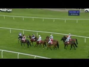 Video preview image for Kempton Park 15:20 - Download The Coral App Novices' Hurdle