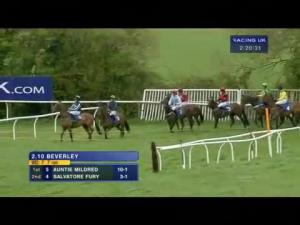Video preview image for Wincanton 14:20 - Bathwick Tyres Mares' Novices' Hurdle