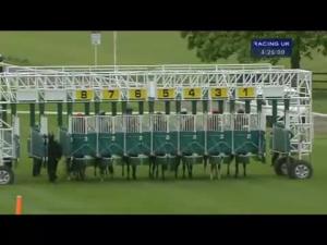 Video preview image for York 16:25 - ripleycollection.com E.B.F. Novice Stakes