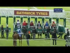 Video preview image for Salisbury 14:35 - Dougland Maiden Stakes