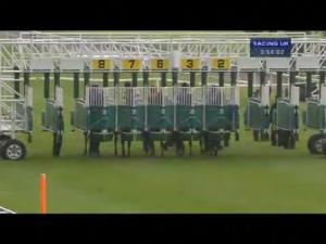 Video preview image for York 15:50 - British Stallion Studs Supporting British Racing E.B.F. Conditions Stakes