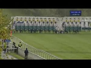 Video preview image for York 16:25 - Stratford Place Stud For Royal Ascot 2Yos E.B.F. Maiden Stakes