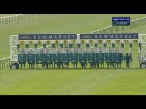 Video preview image for Newmarket 17:20 - Homestore and Safepac Maiden Auction Stakes