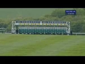 Video preview image for Newmarket 17:55 - Redbourn Engineering Ltd Handicap