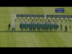 Video preview image for Newmarket 19:00 - Chassis Cab Daf Handicap