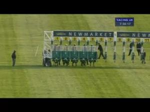 Video preview image for Newmarket 19:35 - Orbital Food MacHinery Classified Stakes