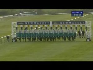 Video preview image for Newmarket 20:05 - Simon Gibson Fillies' Handicap (Jockey Club Grassroots Middle Distance Series Qualifier)