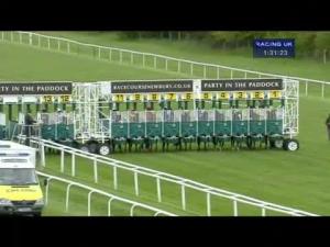 Video preview image for Newbury 13:30 - Hildon Maiden Stakes