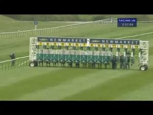 Video preview image for Newmarket 14:55 - Streets Chartered Accountants Handicap