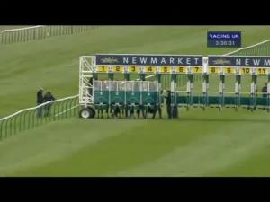 Video preview image for Newmarket 15:30 - Yutree Insurance Novice Stakes
