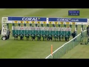Video preview image for Newmarket 17:15 - Ngk Spark Plugs Maiden Stakes (Div 2)