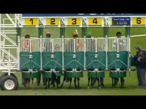 Video preview image for Newmarket 17:50 - Coral Mobile Three Clicks To Bet Handicap