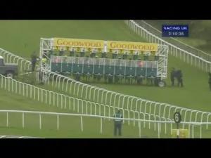 Video preview image for Goodwood 15:10 - Wright Joinery Company Handicap
