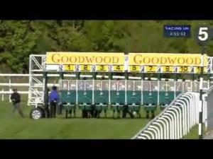 Video preview image for Goodwood 16:55 - Construction Raceday Apprentice Handicap