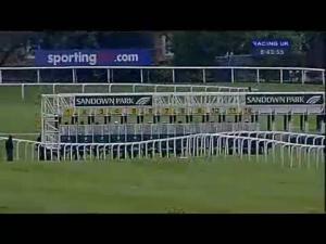 Video preview image for Sandown Park 20:40 - Foxwarren Fillies' Handicap