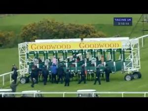 Video preview image for Goodwood 15:10 - Air Bp Fillies' Handicap