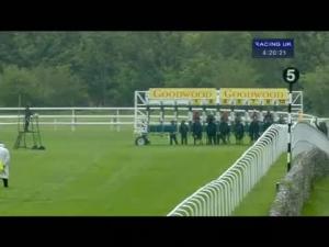 Video preview image for Goodwood 16:20 - Iba Handicap