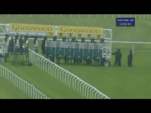 Video preview image for Goodwood 16:55 - Thakeham Homes Fillies' Handicap