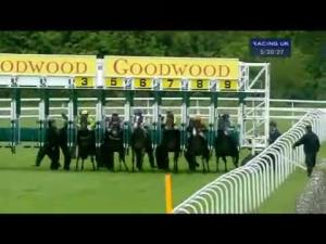 Video preview image for Goodwood 17:30 - Turftv For Betting Shops Bonus Handicap