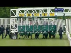 Video preview image for Catterick Bridge 19:05 - British Stallion Studs Supporting British Racing E.B.F. Maiden Fillies' Stakes