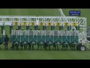 Video preview image for Catterick Bridge 20:35 - Leslie Petch Handicap (Qualifier For Catterick Twelve Furlong Series Final)