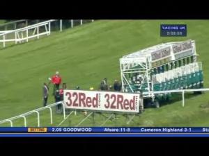Video preview image for Goodwood 14:05 - 32Red Festival Stakes (Listed)