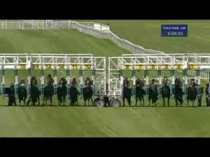Video preview image for York 16:00 - York and Ryedale Domestic Appliances Handicap