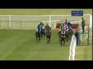 Video preview image for Kelso 15:50 - Jack Clark Swan Song Novices' Hurdle