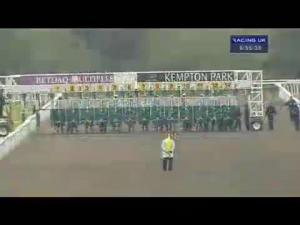 Video preview image for Kempton Park 18:55 - Irish Night On 10.07.13 Handicap