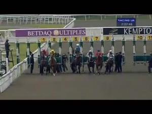 Video preview image for Kempton Park 19:25 - 200 Free Bets At Betdaq/British Stallion Studs E.B.F. Maiden Fillies' Stakes