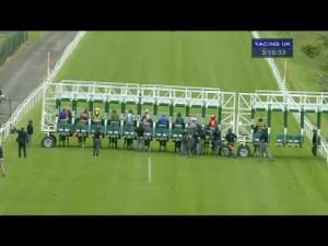 Video preview image for Hamilton Park 15:10 - Ogilvie Communications Handicap