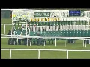 Video preview image for Sandown Park 18:10 - Cantor Capital Handicap (Jockey Club Grassroots Middle Distance Series Qualifier)