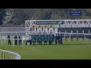 Video preview image for Sandown Park 20:20 - Cantor Fitzgerald Corporate Finance Heron Stakes (Listed)